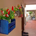 Quintal Do Maracana Hostel